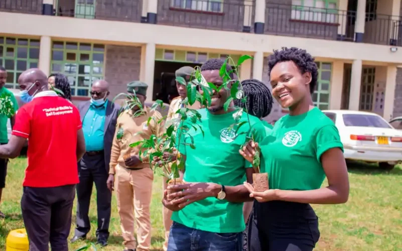 Tree Planting and Cleaning (1)